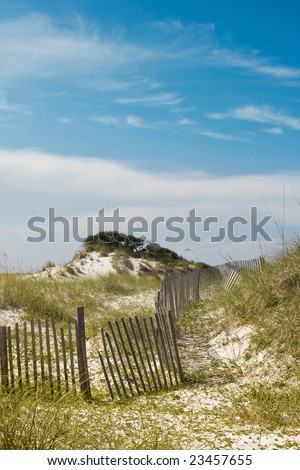 Path to the beach over dunes covered with sea oats, bordered by a rustic dune fence. Plenty of copy space.