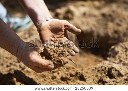 Closeup of hands holding recently tilled dirt in the garden prior to planting.