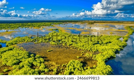 Foto Bild Everglades Florida Steg