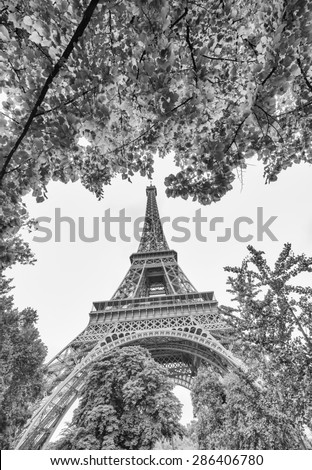 Paris. Beautiful Tour Eiffel surrounded and framed by green trees in summer.