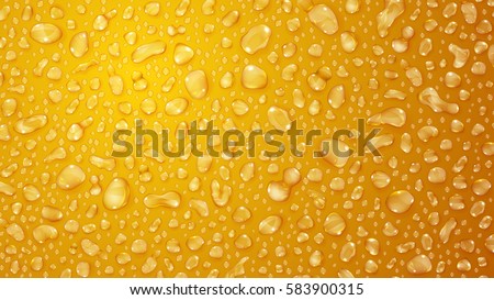 Similar – Image, Stock Photo some drops in a leaf after the  rain