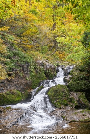 Image, Stock Photo Waterfall flowing through autumn forest in daylight