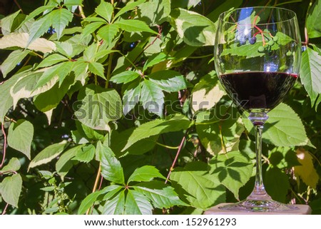 The photo shows the wild grape and the glass of red wine.