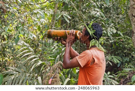 CAMERON HIGHLANDS, MALAYSIA - DEC 14 2013: Unidentified local man drinks water from a bamboo in the jungle. Cameron Highlands  is one of the oldest tourist spots in Malaysia.