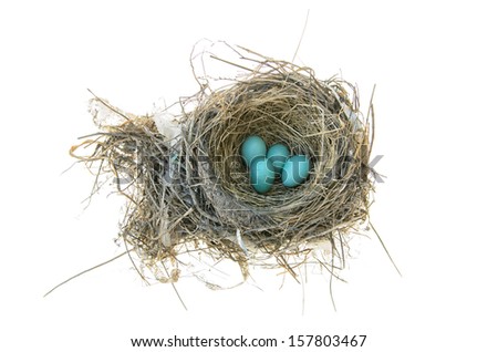 Robins nest with 4 eggs in it. Isolated on a white background