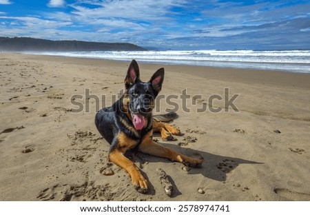 Similar – Image, Stock Photo #AS# Germans love this “Basic Data Protection Regulation”