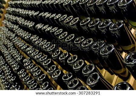 Rows of many empty wine bottles in winery cellar