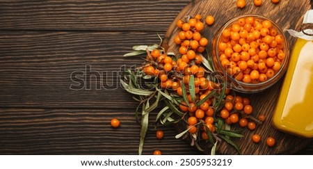 Similar – Image, Stock Photo Ripe sea buckthorn on a cold winter’s day on the beach of the Baltic Sea