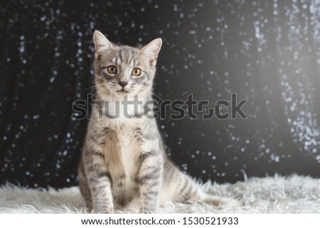 Shutterstock Puzzlepix