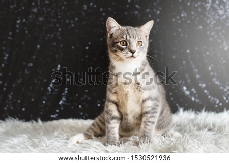 Shutterstock Puzzlepix