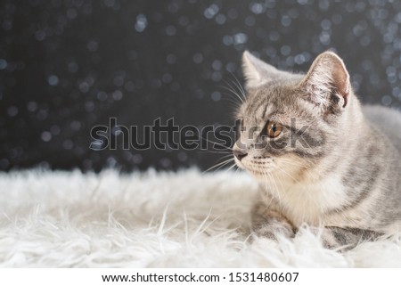 Shutterstock Puzzlepix