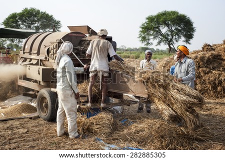 ORCHA,INDIA -  APRIL  23, 2015: Unidentified Indian people working on the field on April  23, 2015 in Orchha, Madhya Pradesh, India. India ranks second worldwide in farm output.