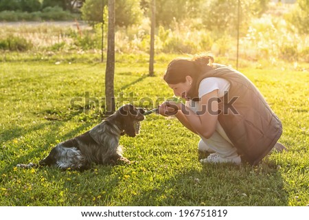 Puppy training - A young women training a blue roan English Cocker Spaniel at the park