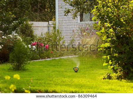 watering the lawn in garden with sprinkler system