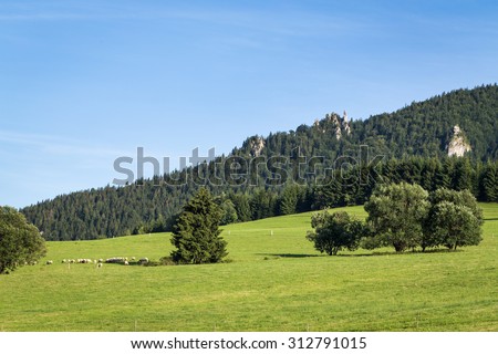 mountain meadows and pastures in Central Europe (Slovakia, Velka Fatra, Maly Rozsutec)