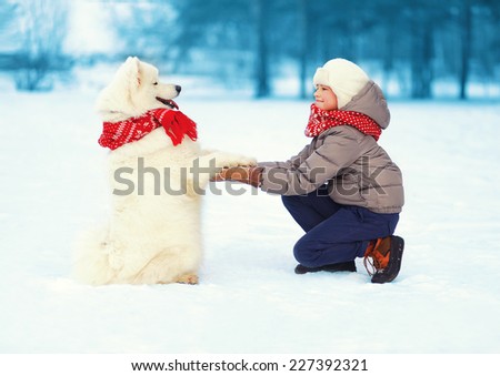 Christmas, winter and people concept - happy teenager boy playing with white Samoyed dog outdoors in winter day, positive dog gives paw owner
