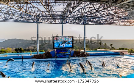 SHIRAHAMA, OSAKA, JAPAN - JANUARY 01: Dolphin show in the pool on Januray 01, 2014 in Japan. The Advenger World in Shirahama of Japan.