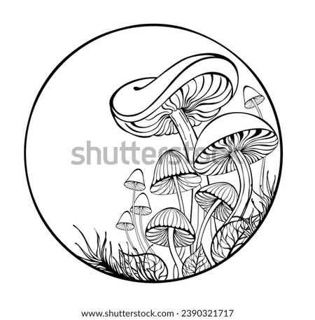 Artistically drawn, outline, silhouette, stylized mushrooms and moss in  frame on white background hand drawn vector art