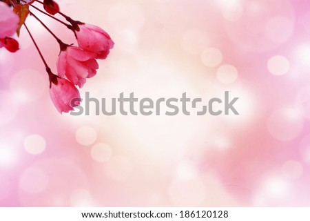 Border made of pink spring flowers isolated on pink background