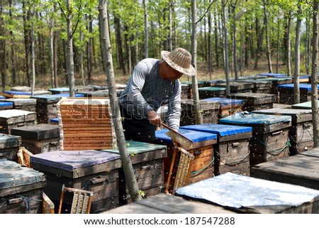 Beekeepers in cleaning the honey control framework
