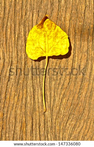 Yellow leaf and old wood plank