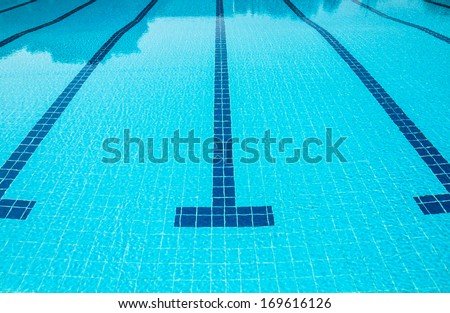 Blue line of lane in clear swimming pool