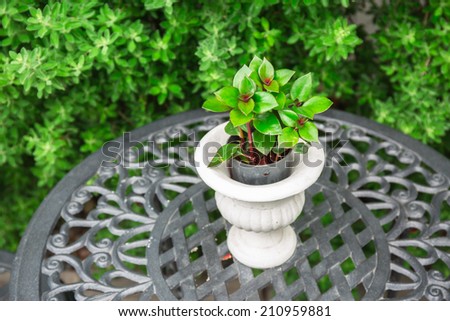 White ceramic potted plants on desk in green garden