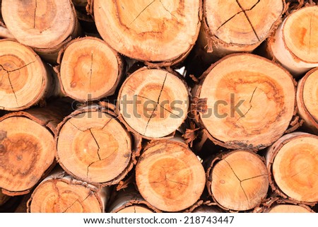 Stack of brown circle wood