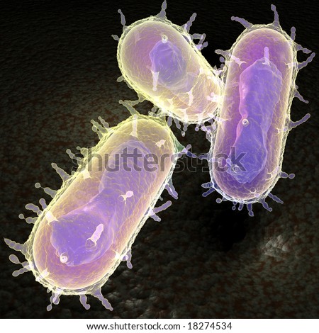 This is a 3d representation of the Yersinia pestis bacteria better known as the bubonic plague. This infectious disease was known as the Black Death from 1347 to 1351. Stock fotó © 