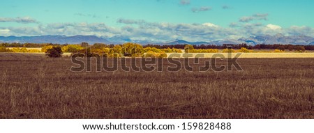 Autumnal field flat landscape cultivated grain land already collected, mount hill oak in the background and saw mountains in the background