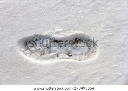 Footprint Snow Boots  - Detail recent footprint tread shoe or boot in the snow