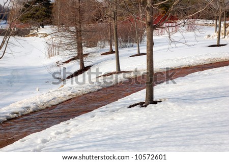 walking path through the snow