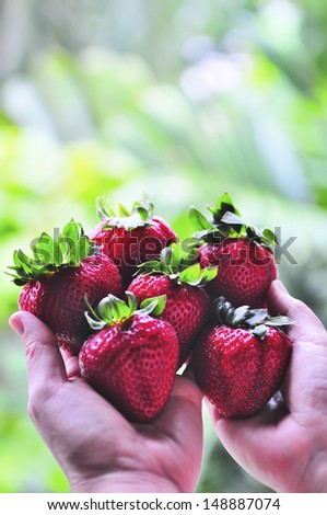 Strawberry in hand giving