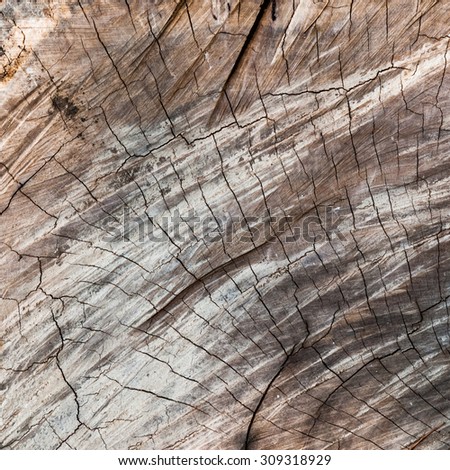 wood texture - brown blank plank surface shiny wooden wall floor frame exterior panel timber material background
