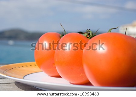 The three tomatoes line up, showing good color texture.