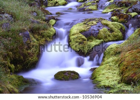 mountain stream at night among moss taken off on long self-control