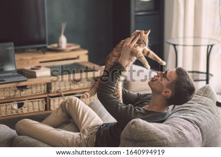 Owner playing with cat while relaxing on modern couch in living room interior. Young man resting with pet in soft chair at home. Foto stock © 