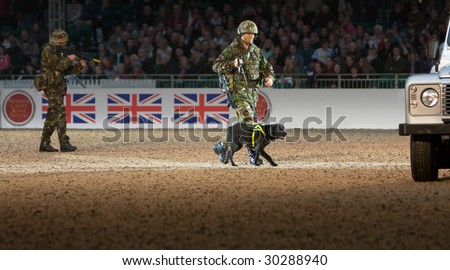WINDSOR - MAY 13: Explosives sniffer dog demonstrates with its controller during the Windsor Royal Tattoo in Windsor, May 13, 2009