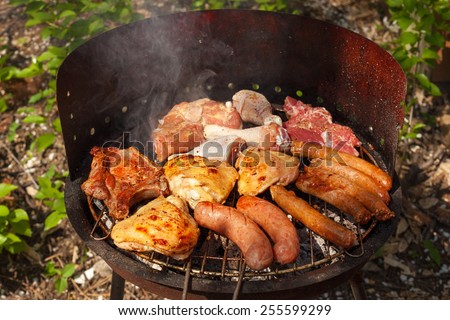 meat on barbecue, variety of meat on an outdoor, sunlit, smoking barbecue grill