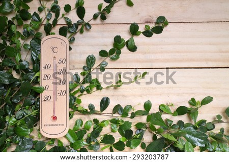 summer temperature on wood table