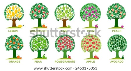 Set of different fruit trees with ripe fruits isolated on white background. Harvest time. Collection of fruit orchard trees isolated on White background. Vector illustration.