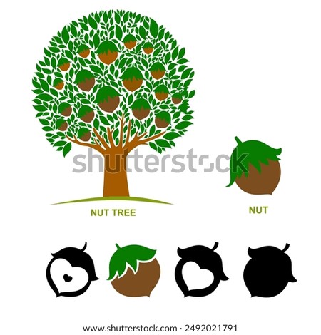 Hazelnuts tree isolated on white. Silhouette. Icon. Sign. Set of detailed hand drawn hazelnuts isolated on white background. 
 Illustration