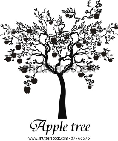 Black silhouette apple tree isolated on White background. Vector Illustration