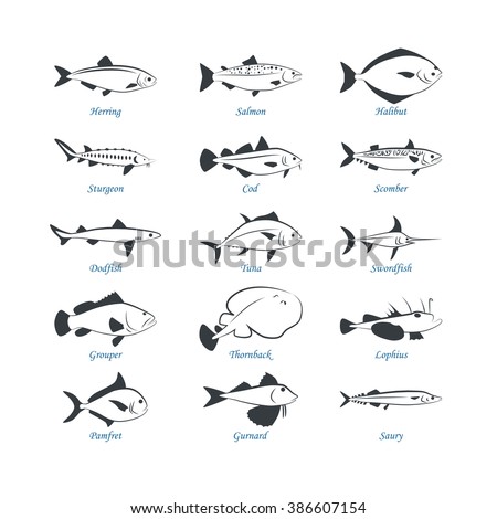 Seafood icons. Fish icons. Can be used for restaurants, menu design, internet pages design, in the fishing industry, commercial
