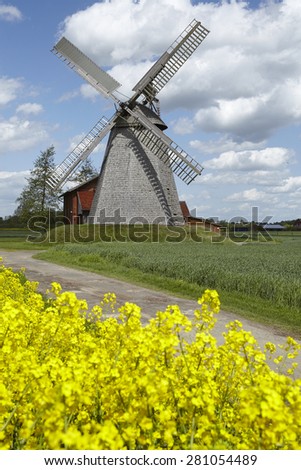 The windmill Bierde (Petershagen, Germany) is a dutch type of windmill and is part of the Westphalia Mill Street (Westfaelische Muehlenstrasse). The foreground is a yellow blossoming field of canola.