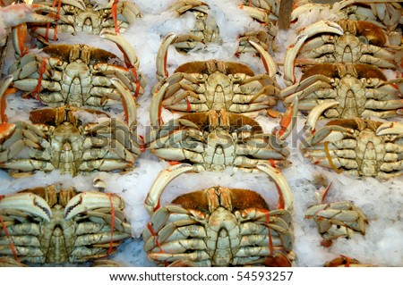 Crabs on the ice (market)