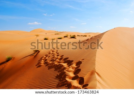 Dunes of the Rub al Khali or Empty Quarter. Straddling Oman, Saudi Arabia, the UAE and Yemen, this is the largest sand desert in the world.