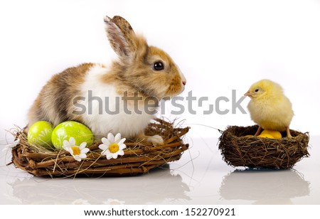 Similar – Image, Stock Photo Easter dinner with eggs on a light table