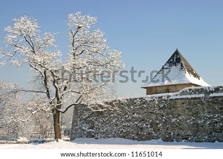 Winter landscape of old \