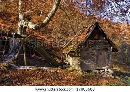 Old water-driven wheat mill in forest, autumn colorful scenery